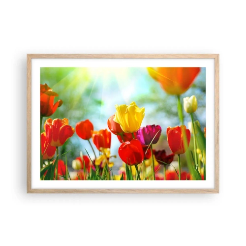 Poster in light oak frame - All Colours of the Sun - 70x50 cm