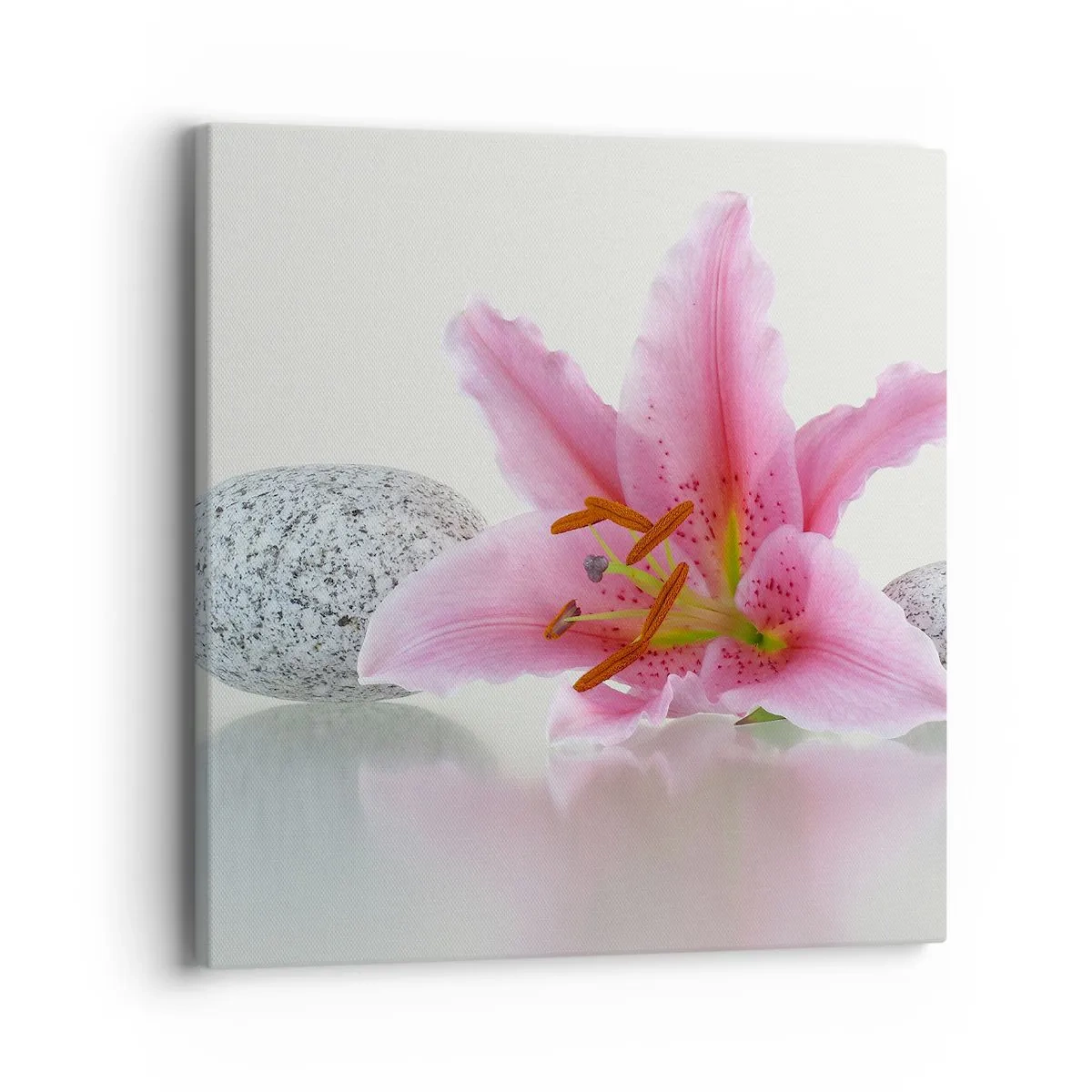 Canvas picture - Study in Pink, Grey and White - 40x40 cm