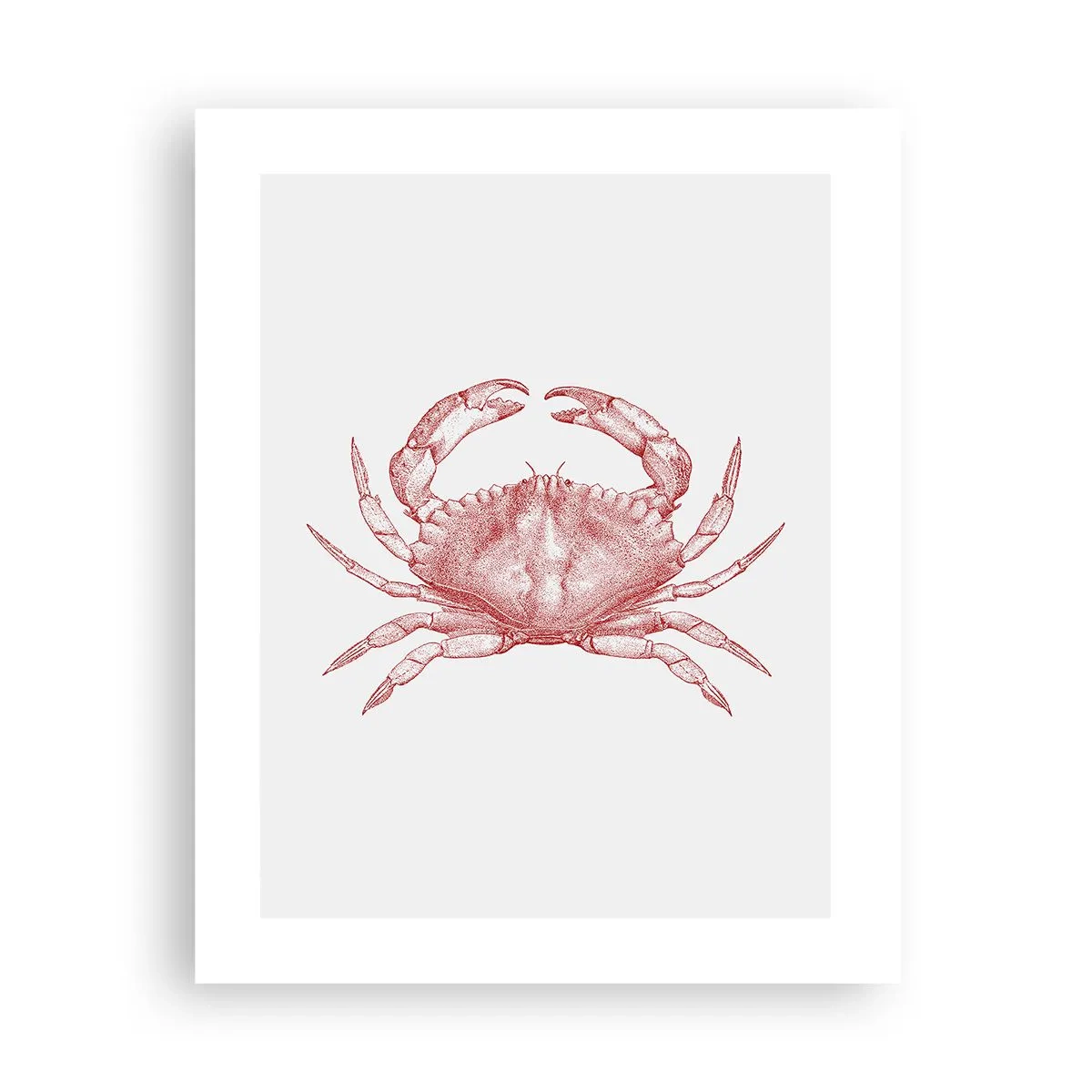 Poster - Crab Like No Other - 40x50 cm