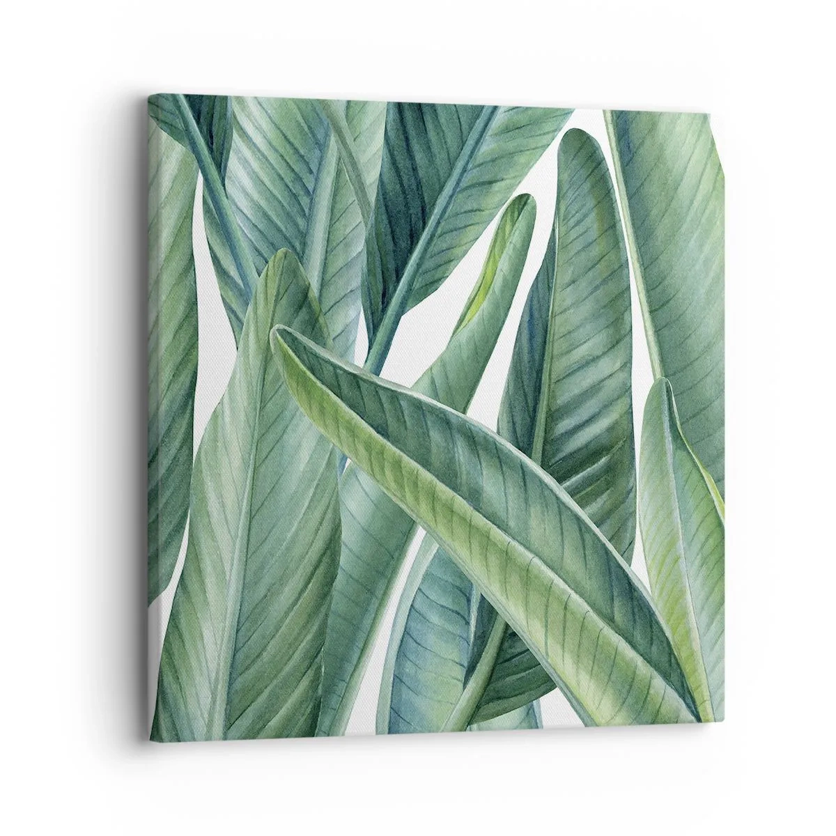 Canvas picture - Only Green Itself - 30x30 cm