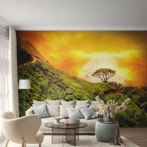 Photo Wallpaper Premium Sand - Winding Path, Green Slope - Landscape, Tea Plantation, India - 100x70 cm