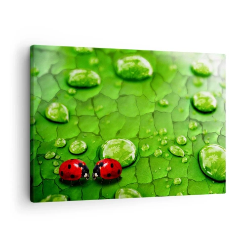 Canvas picture - Two ladybugs on a leaf with water drops in macro photography - 70x50cm - Encounter in Green - Modern wall decoration for the living room and bedroom ARTTOR