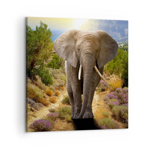 Canvas picture - This is What Eden Looked Like - 50x50 cm