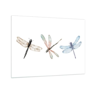 Glass picture - Three colorful dragonflies on a white background in a delicate watercolor style - 70x50cm - Lightness of Dragonflies  - Modern wall decoration for the living room and bedroom ARTTOR