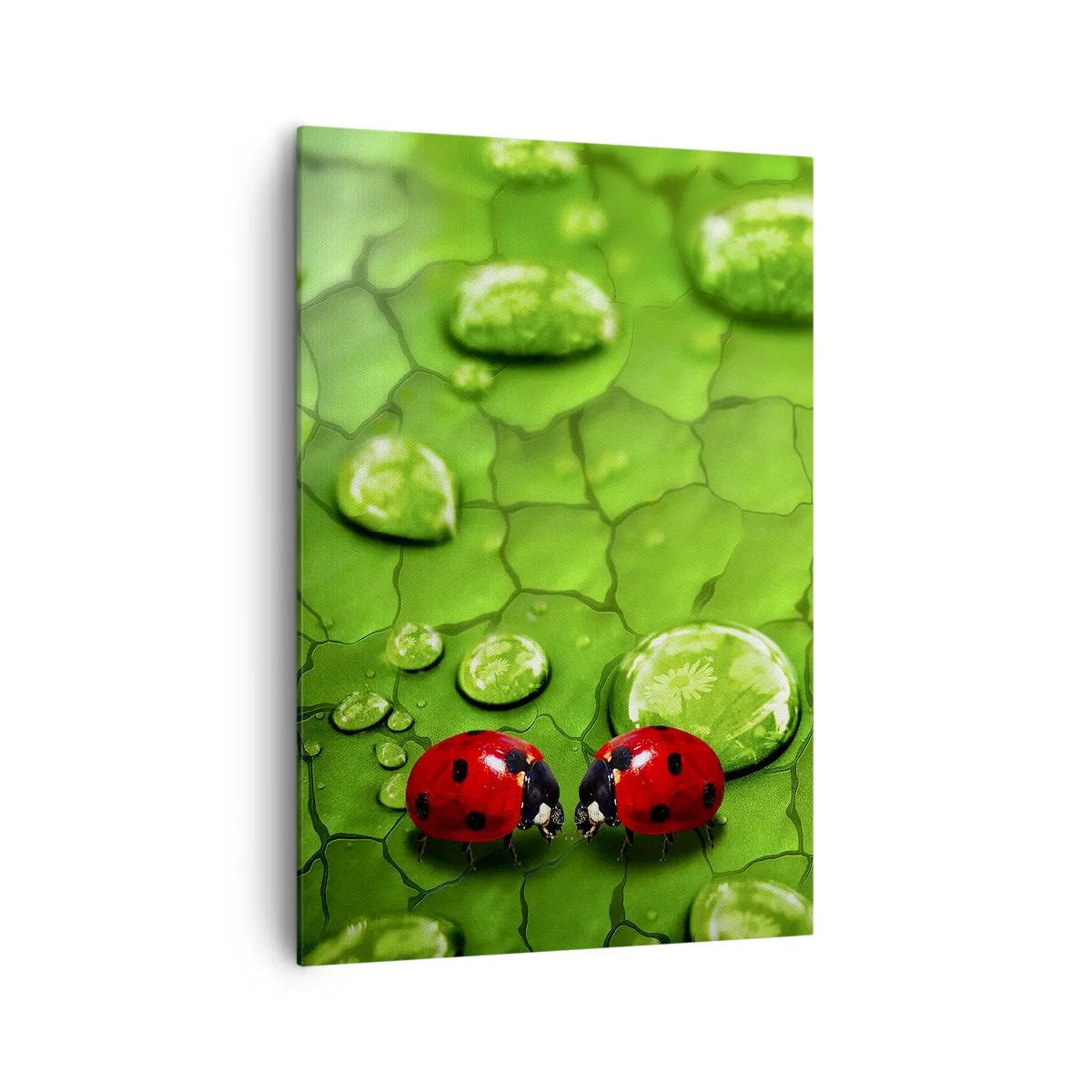 Canvas picture - Encounter in Green - 70x100 cm