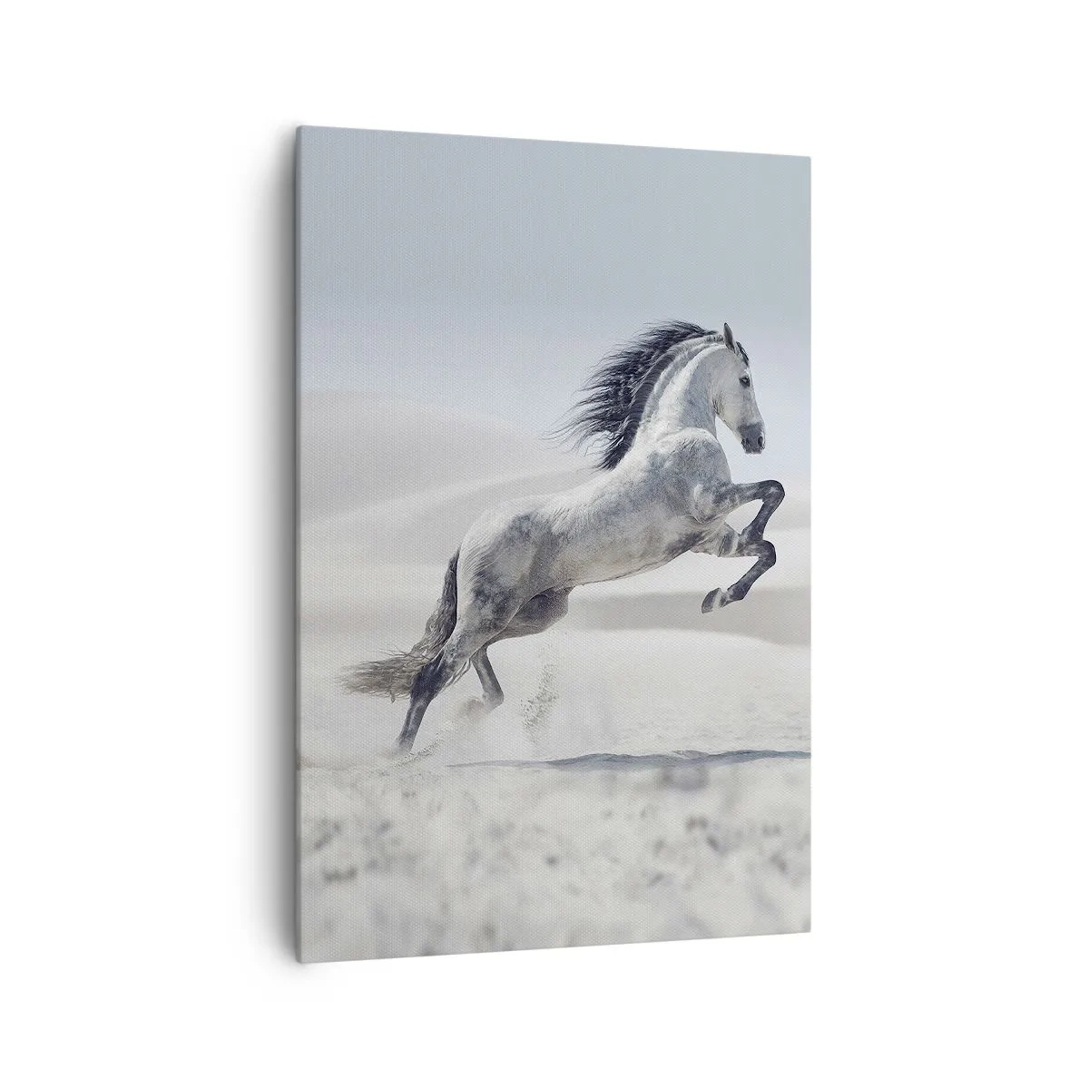 Canvas picture - Arabic Prince - 70x100 cm