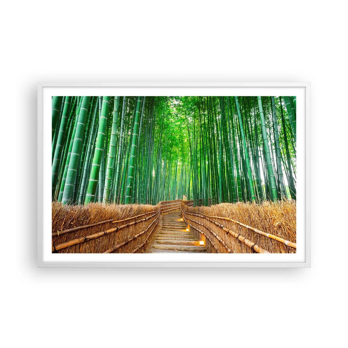 Poster in white frmae - Essence of Asian Nature - 91x61 cm