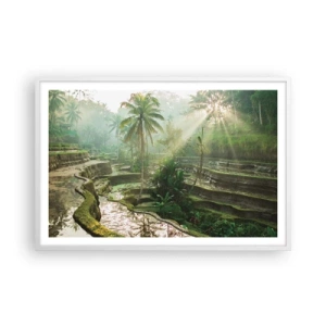 Poster in white frmae - Maturing in the Sun - 91x61 cm