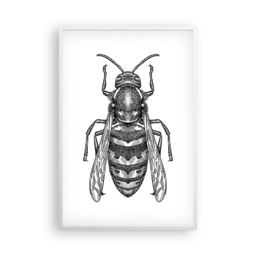 Poster in white frmae - From Insect Planet - 61x91 cm
