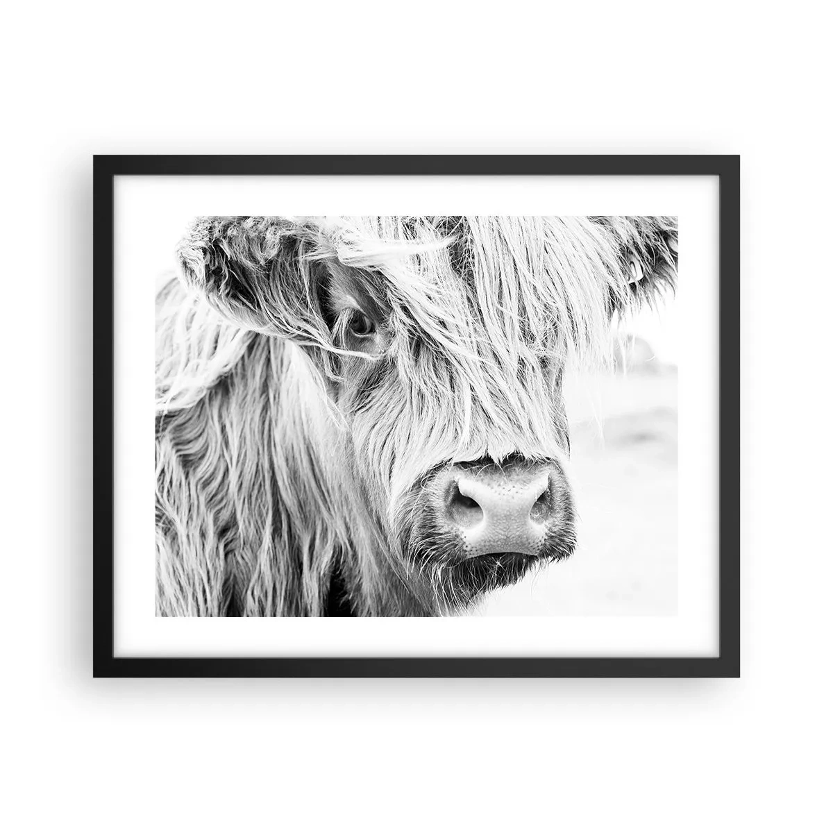 Poster in black frame - Scottish Wilderness - 50x40 cm
