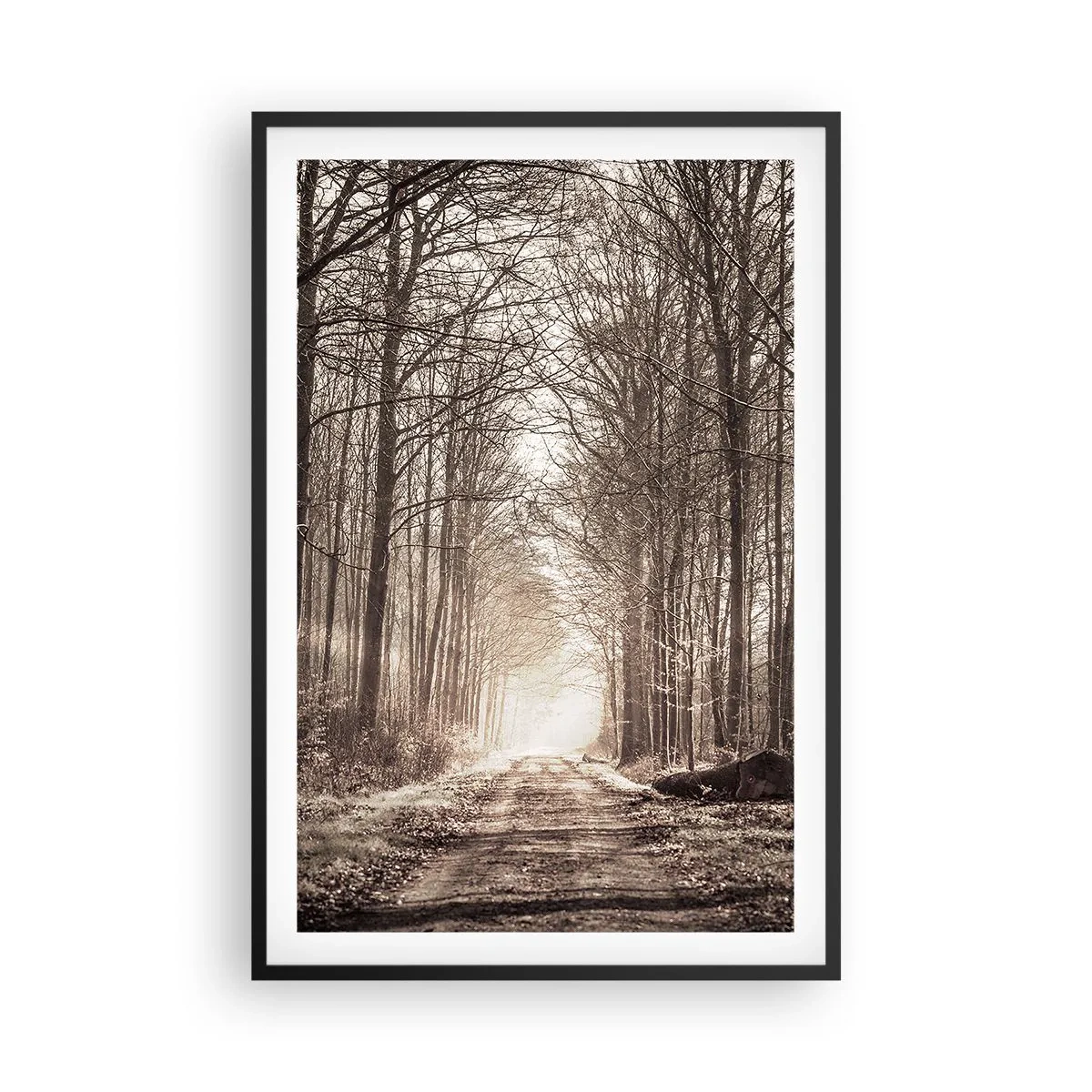 Poster in black frame - Cathedral of the Forest - 61x91 cm