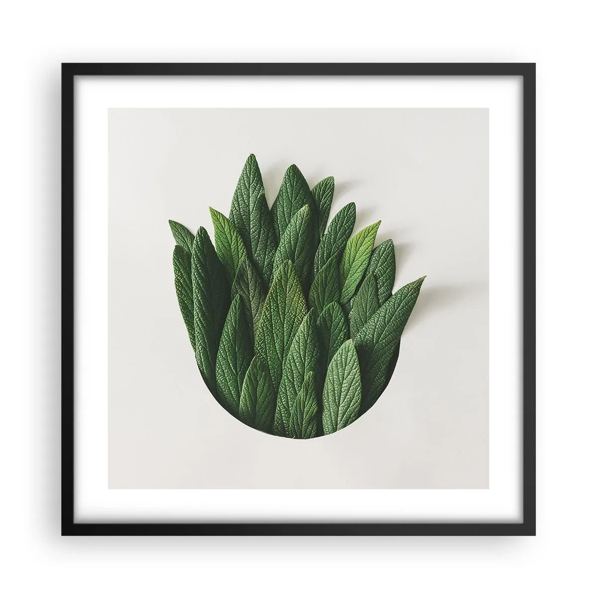 Poster in black frame - Untamed Curiosity - 50x50 cm