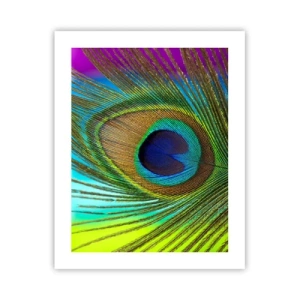 Poster - Eye to Eye - 40x50 cm