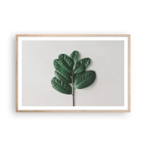 Poster in light oak frame - Drawing of Nature Itself - 91x61 cm