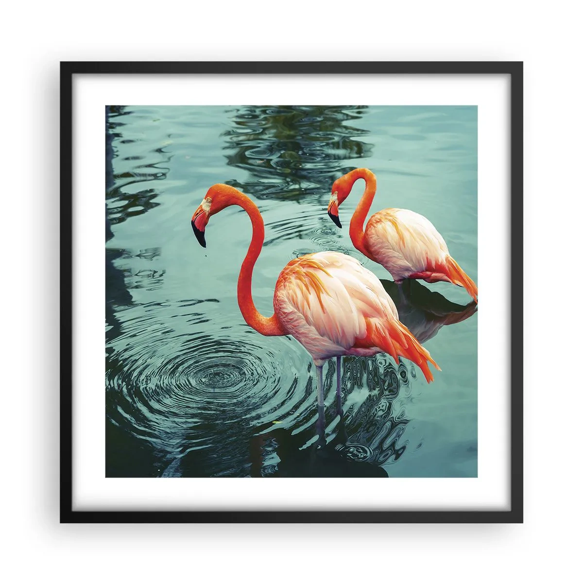 Poster in black frame - We Are En Vogue Now - 50x50 cm