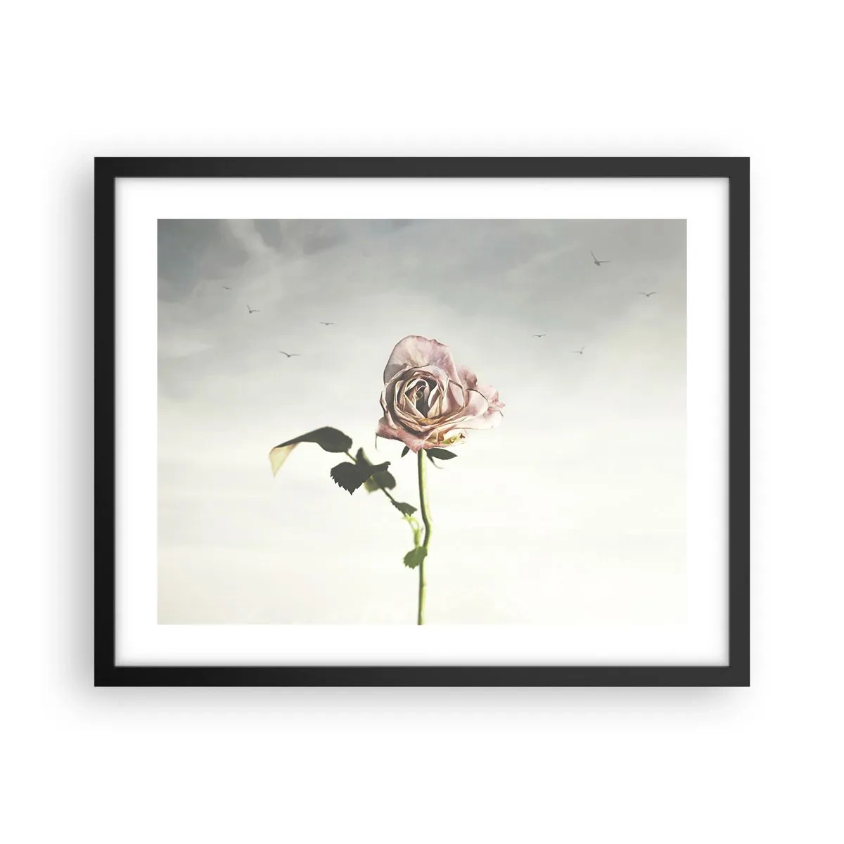 Poster in black frame - Welcoming of Spring - 50x40 cm