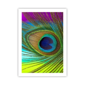 Poster - Eye to Eye - 50x70 cm