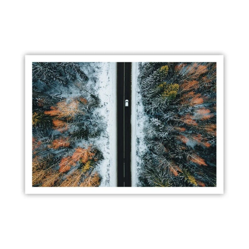 Poster - Through a Wintery Forest - 100x70 cm
