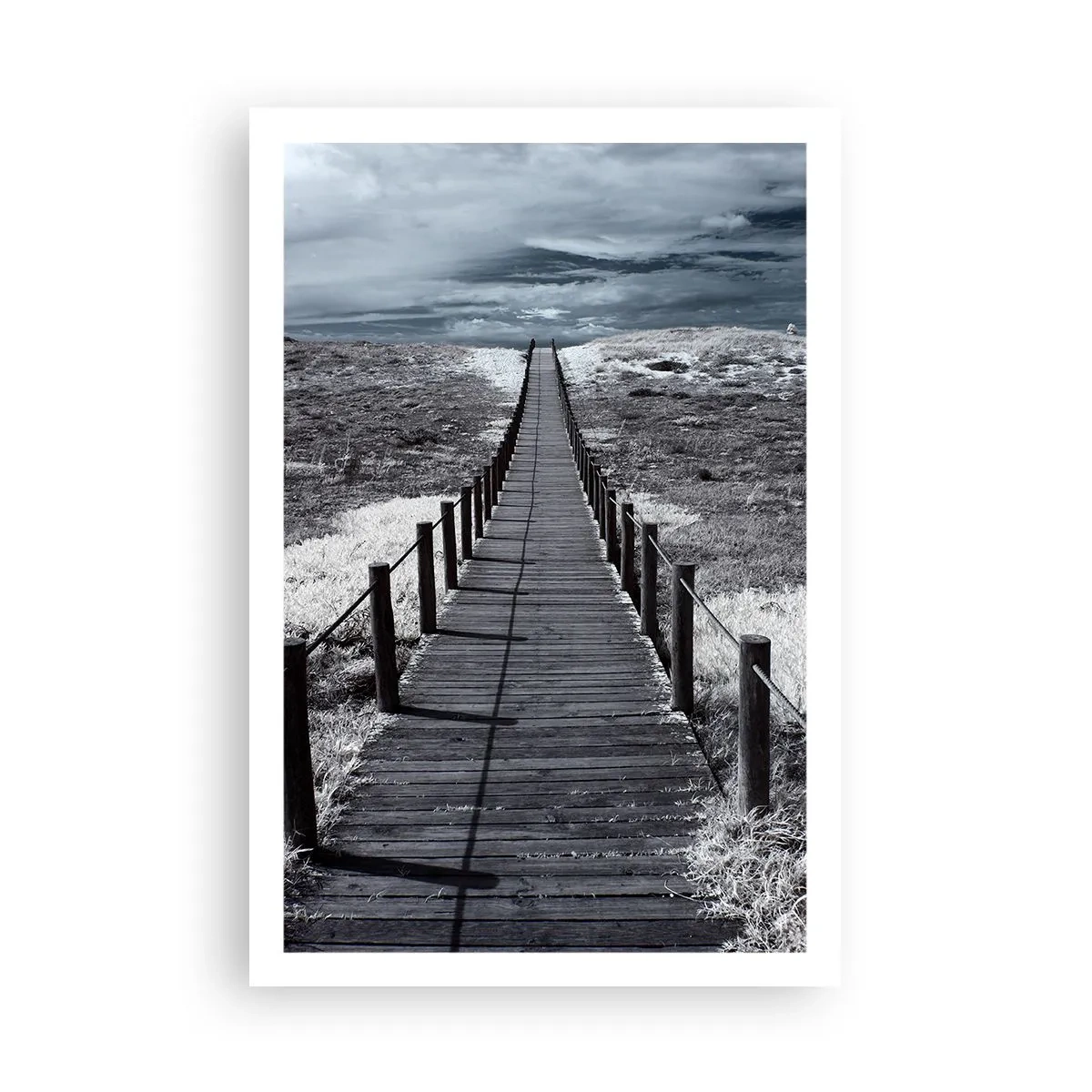 Poster - To the Shore - 61x91 cm