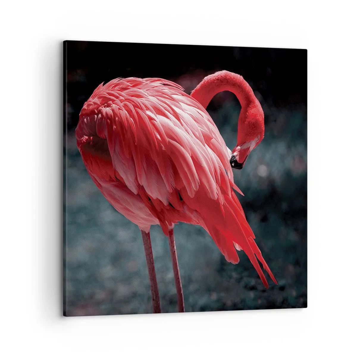 Canvas picture - Crimson Poem of Nature - 50x50 cm