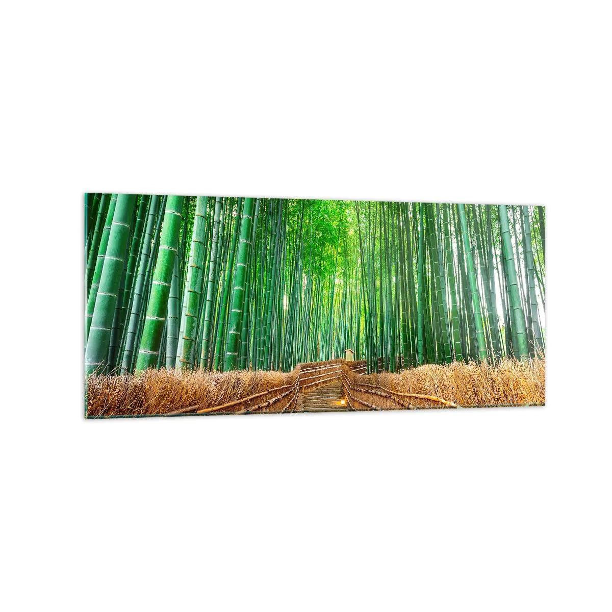 Glass picture - Essence of Asian Nature - 120x50 cm
