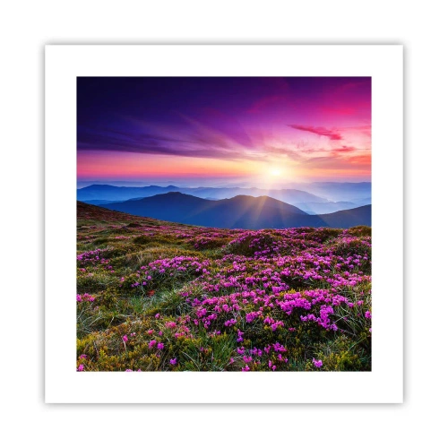 Poster - Smells Strongly of Herbs - 40x40 cm