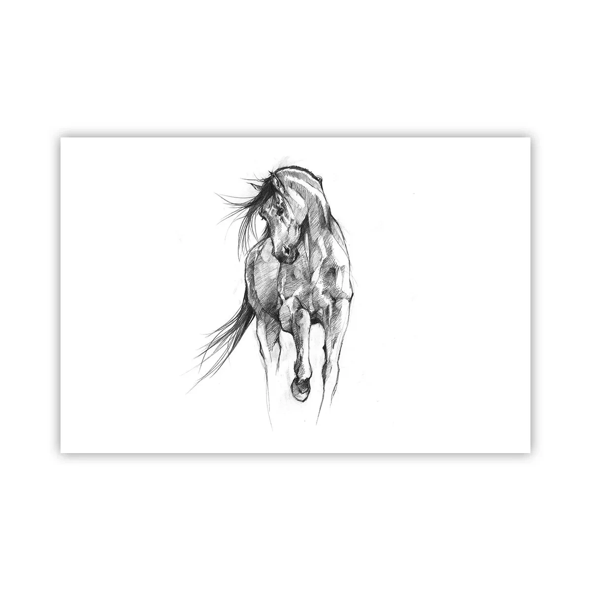 Poster - In a Graceful Trot - 91x61 cm