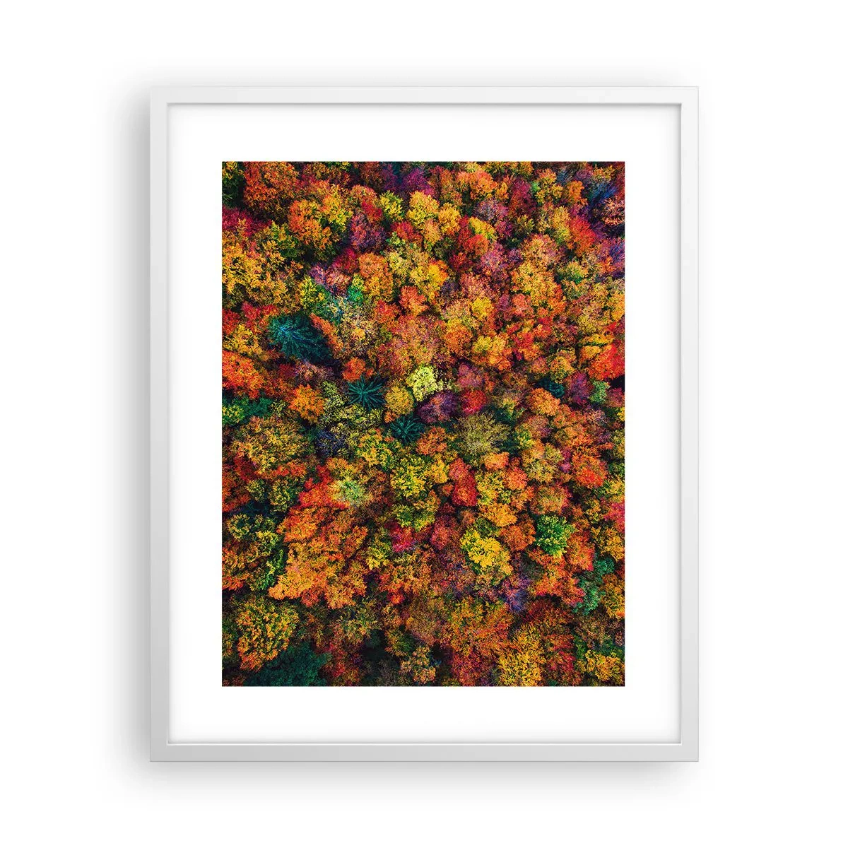 Poster in white frmae - Bouquet of Autumn Flowers - 40x50 cm