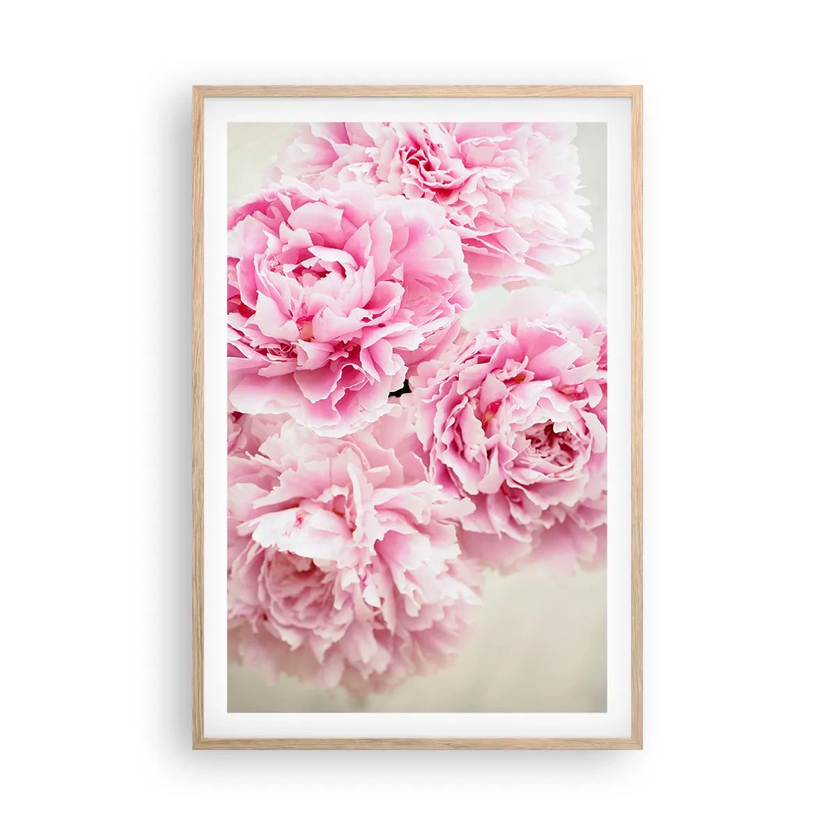 Poster in light oak frame - In Pink  Splendour - 61x91 cm