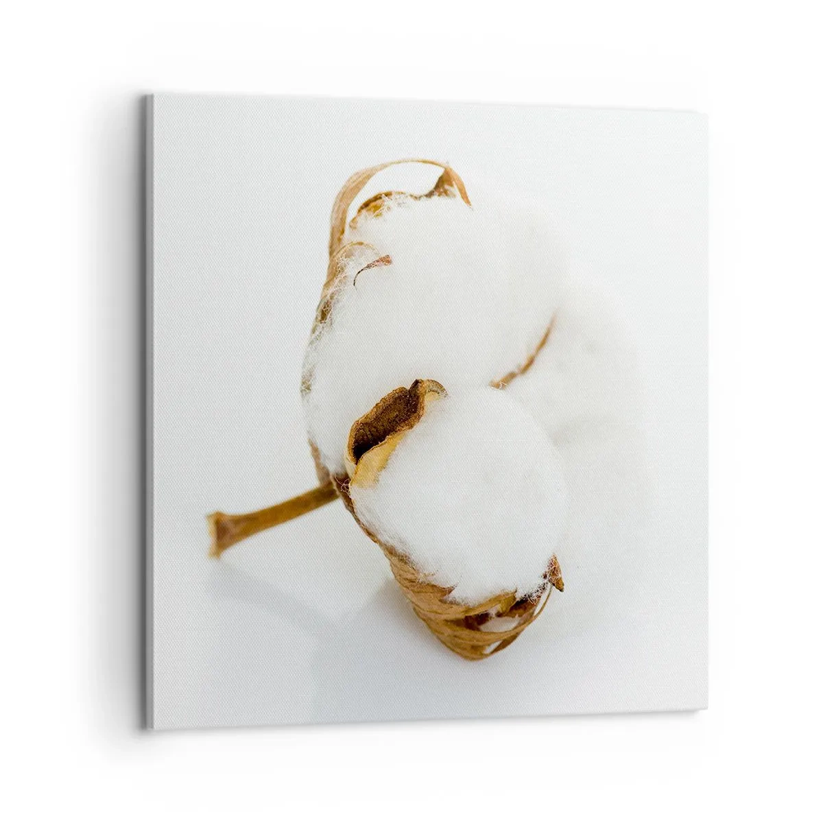 Canvas picture - Soft By Nature - 60x60 cm