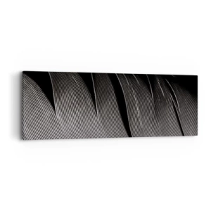Canvas picture - Feather - Wonderful Constract - 90x30 cm