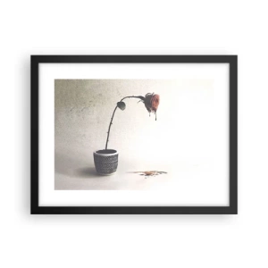 Poster in black frame - Rosa Dolorosa - 40x30 cm