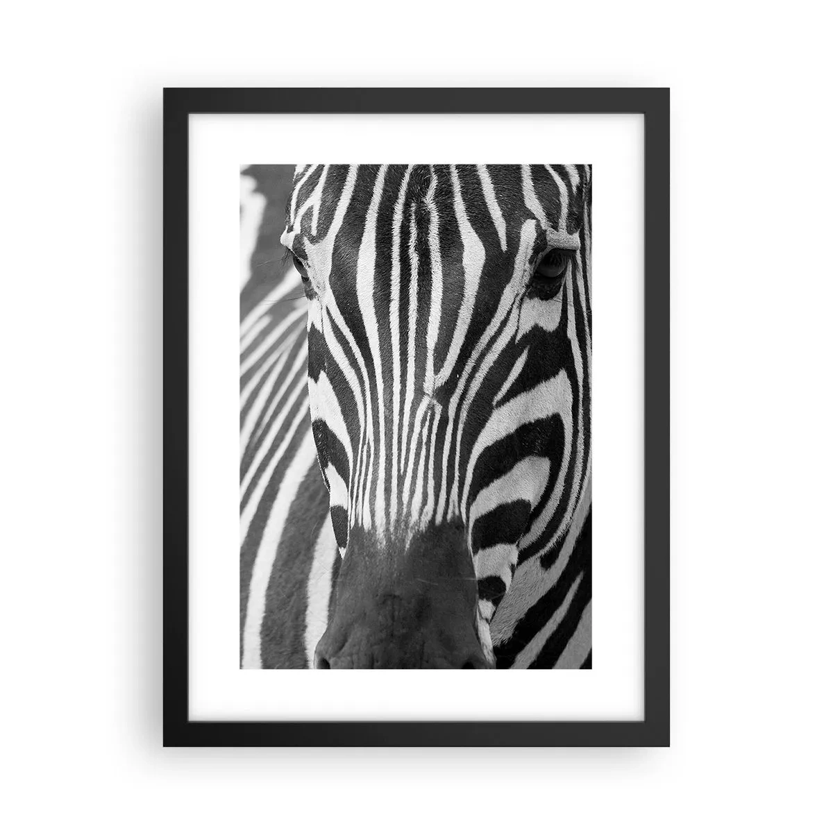 Poster in black frame - World Is Black and White - 30x40 cm