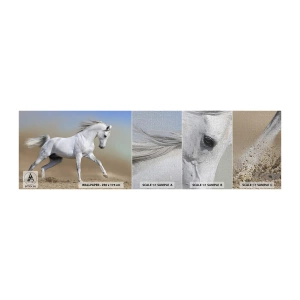 Photo Wallpaper Sample Premium Canvas - The Most Beautiful Arabic Tale - Horse, Animals, Gallop - 100x30 cm