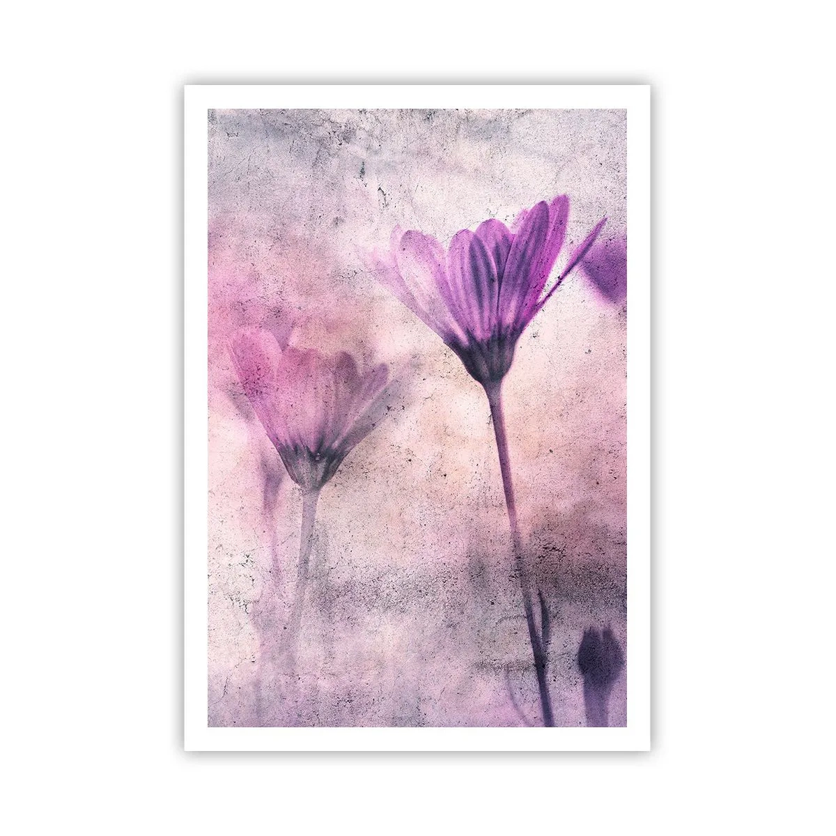 Poster - Dream of Flowers - 70x100 cm