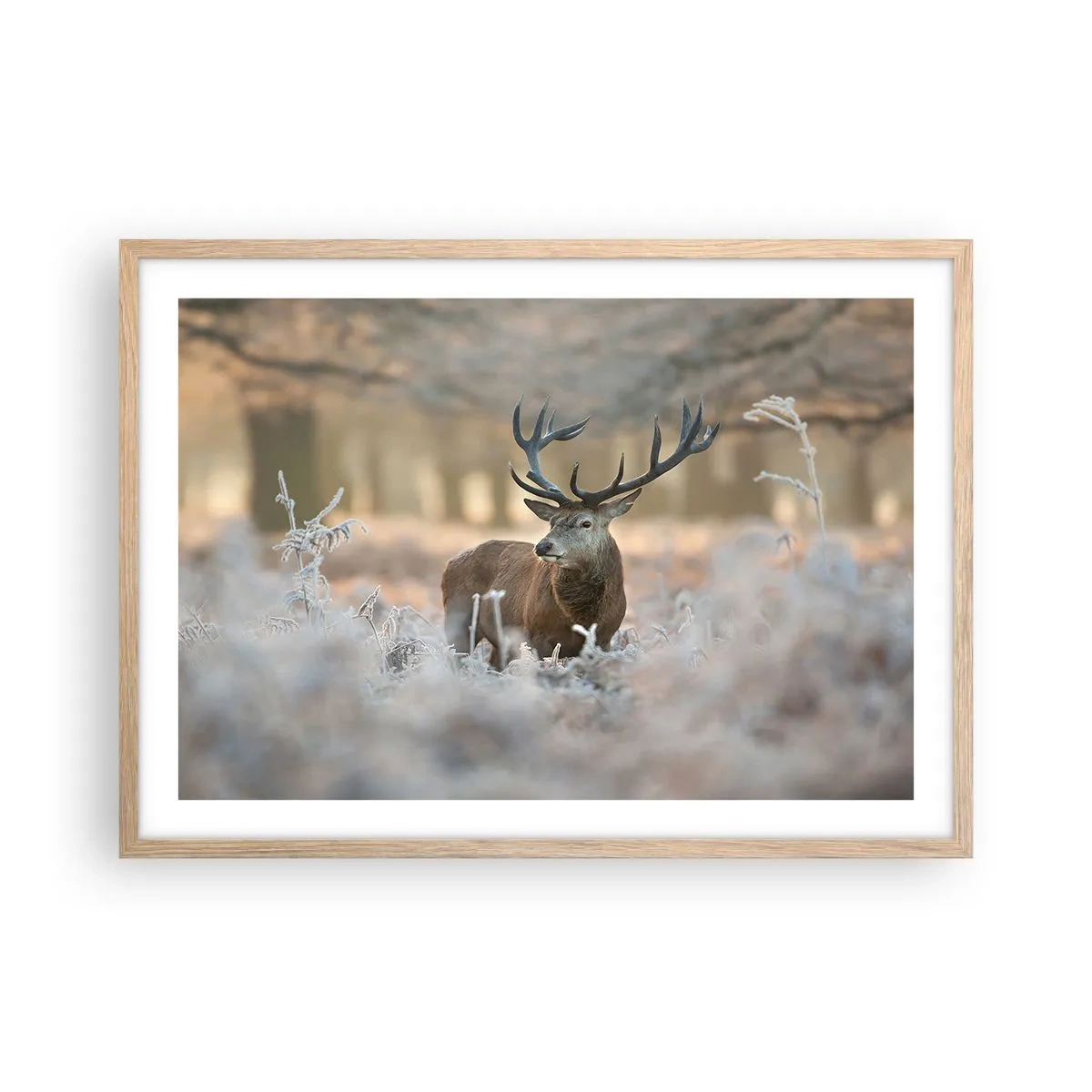 Poster in light oak frame - Chilly Morning - 70x50 cm