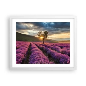 Poster in white frmae - Lilac Coloured Aroma - 50x40 cm