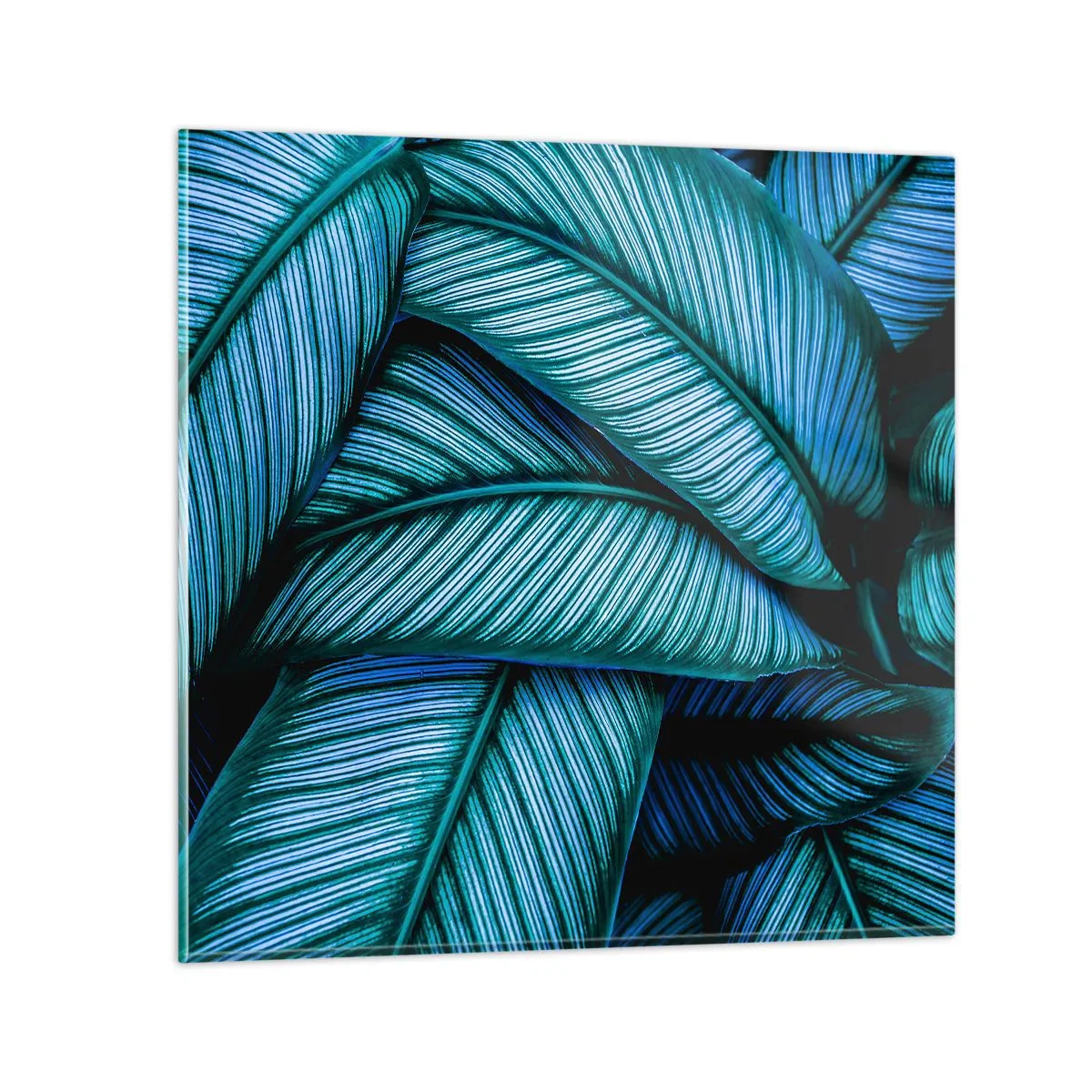 Glass picture - Lifelines - 60x60 cm