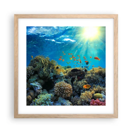 Poster in light oak frame - Underwater Treasures - 40x40 cm