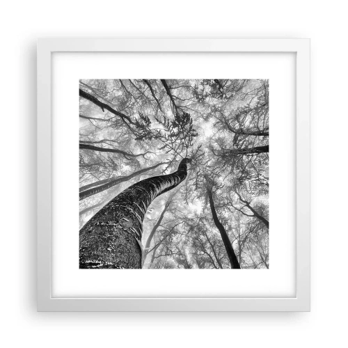 Poster in white frmae - Race for the Light - 30x30 cm