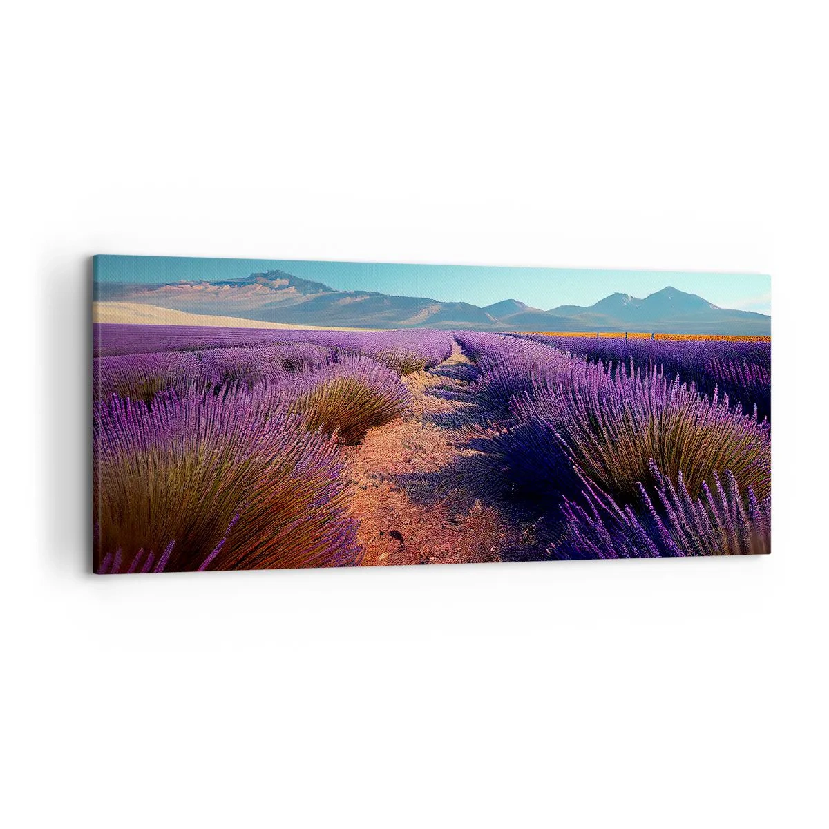 Canvas picture - Fragrant Fields - 120x50 cm