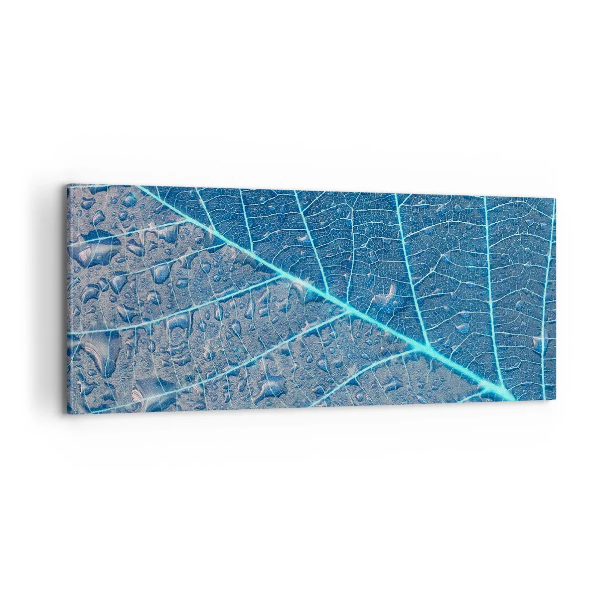 Canvas picture - Life in the Blue - 100x40 cm