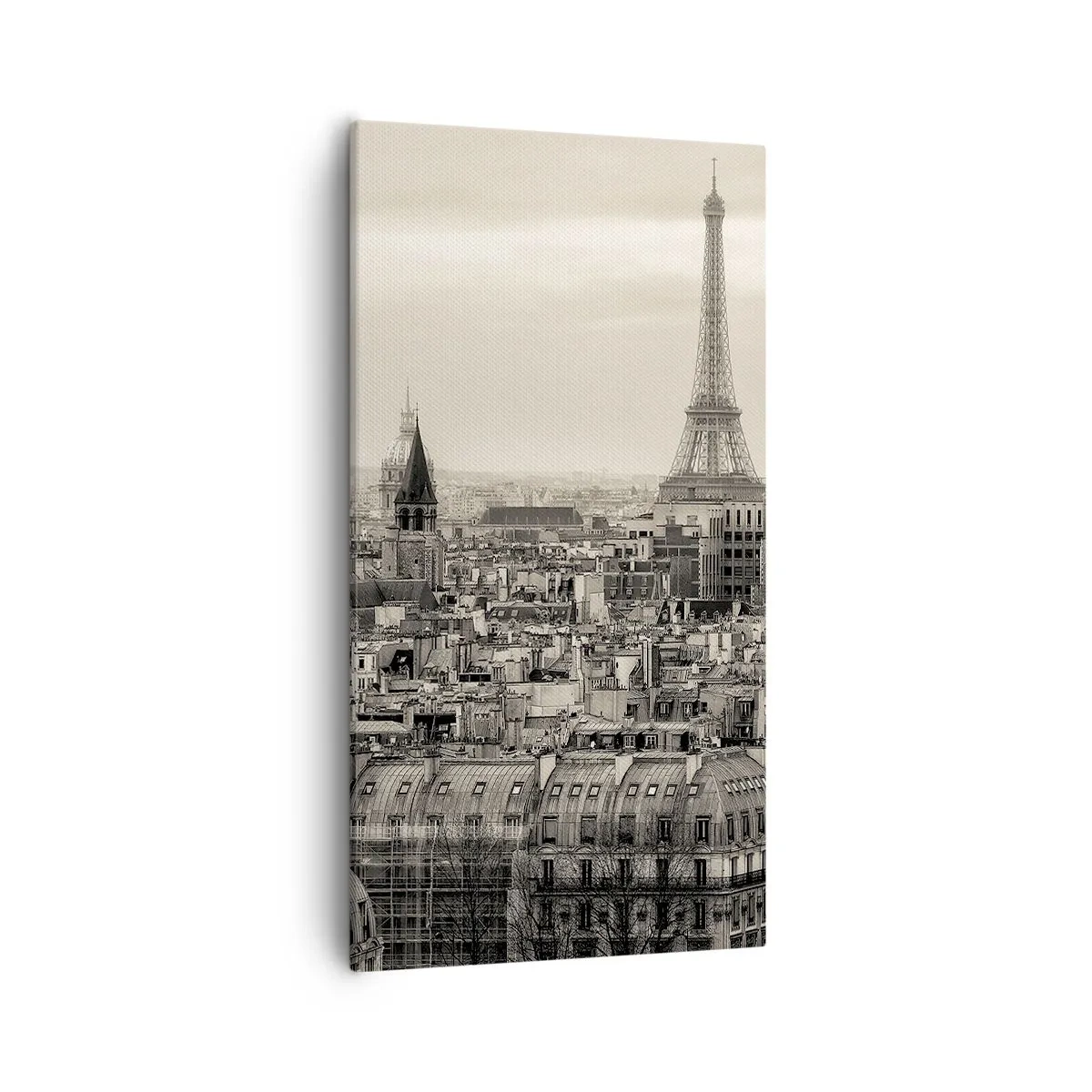 Canvas picture - Over the Roofs of Paris - 55x100 cm