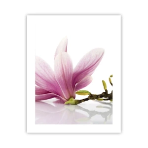 Poster - Delicate Like a Spring Breeze - 40x50 cm