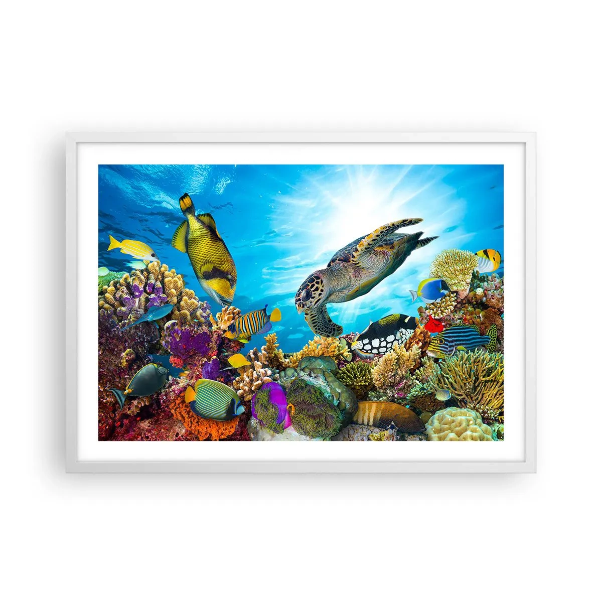 Poster in white frmae - Coral Promenade - 70x50 cm