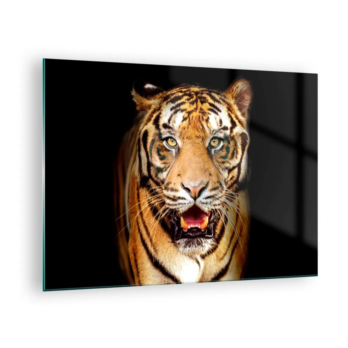 Glass picture - A tiger on a dark background with an intense gaze - 70x50cm - Wild at Heart - Modern wall decoration for the living room and bedroom ARTTOR