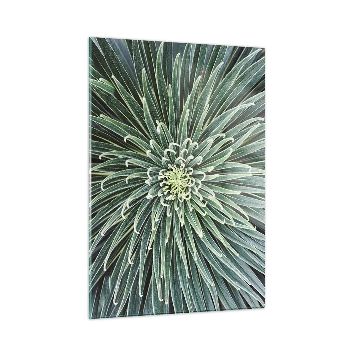 Glass picture - Birth of a Star - 50x70 cm