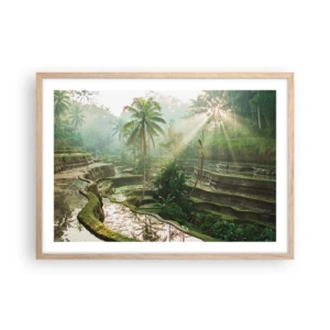 Poster in light oak frame - Maturing in the Sun - 70x50 cm