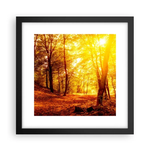 Poster in black frame - Towards Golden Plain - 30x30 cm