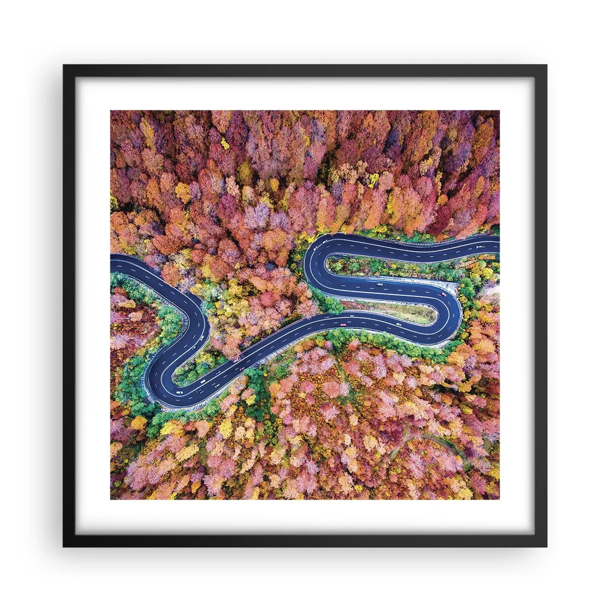 Poster in black frame - Winding Path through a Forest - 50x50 cm